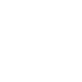 ROI icon